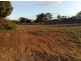 Lot 7 Bakara Road Greenways Landing via, Nildottie SA 5238