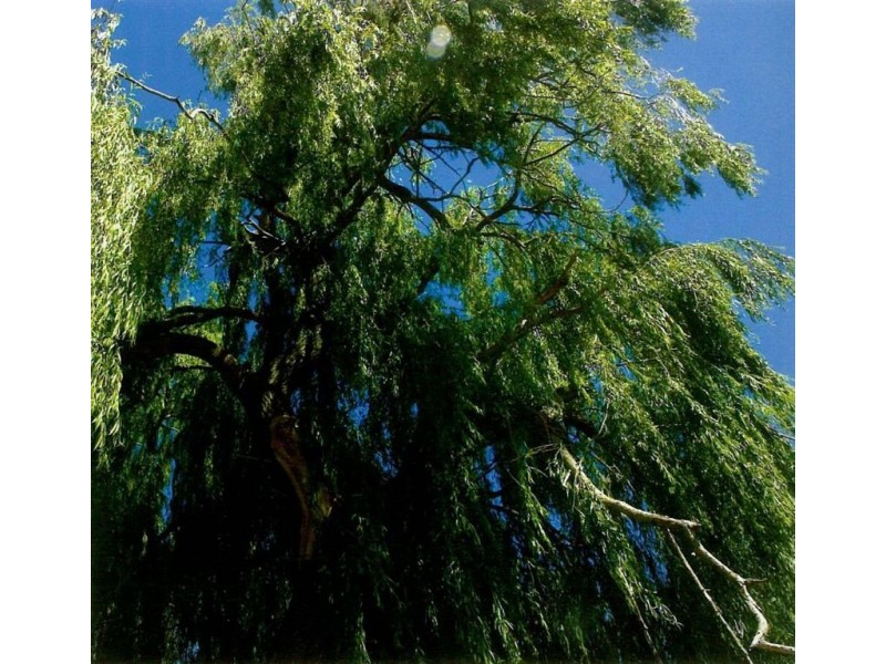 Lot 5 Gransbury Court, Angaston SA 5353