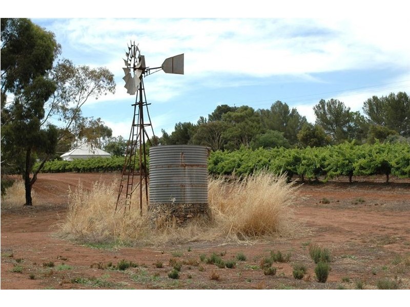 Lot 873 Radford Road, Seppeltsfield SA 5355