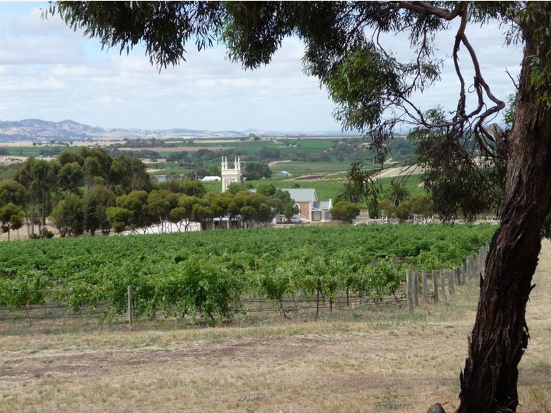 Lot 2, 594 Seppeltsfield Road, Marananga SA 5355