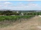 Lot 2, 594 Seppeltsfield Road, Marananga SA 5355