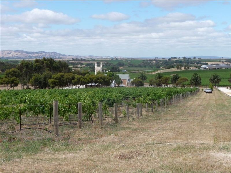 Lot 2, 594 Seppeltsfield Road, Marananga SA 5355