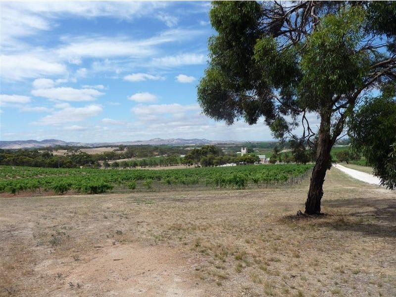 Lot 2, 594 Seppeltsfield Road, Marananga SA 5355