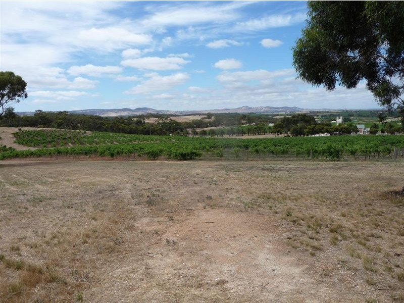 Lot 2, 594 Seppeltsfield Road, Marananga SA 5355
