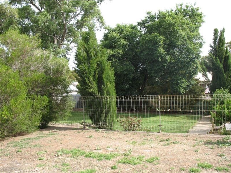 6 Moorundie Street, Truro SA 5356