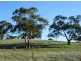 7a Yalumba Terrace, Angaston SA 5353
