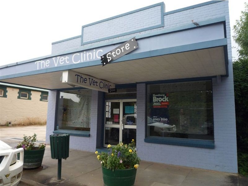 51 Murray Street, Angaston SA 5353