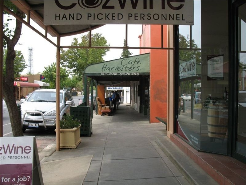 29 Murray Street, Nuriootpa SA 5355