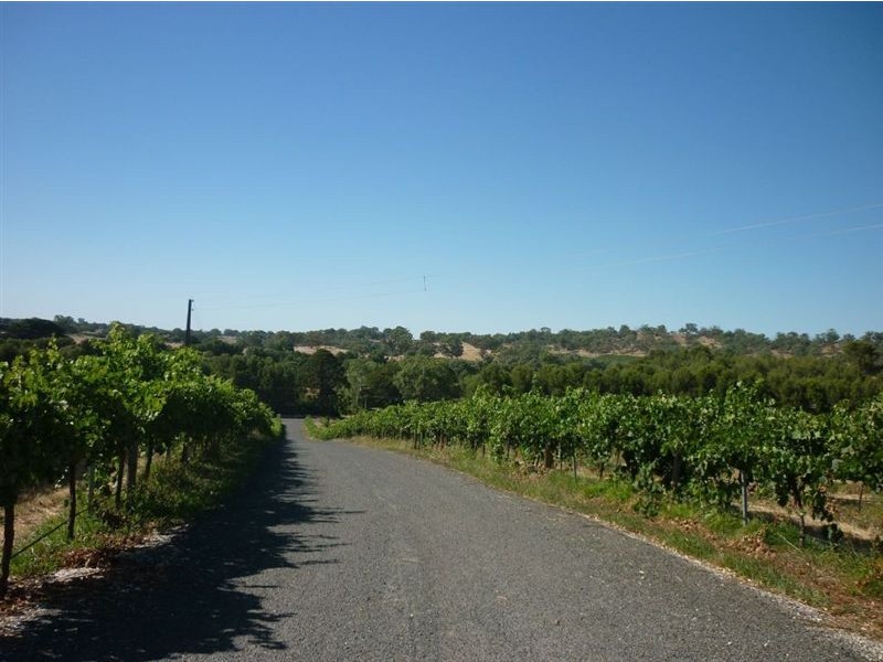 Lot 93 Hurns Road, Angaston SA 5353