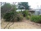 7 Second Avenue, Tanunda SA 5352