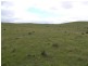 Lot 99 Julia Road, Hampden Via, Eudunda SA 5374