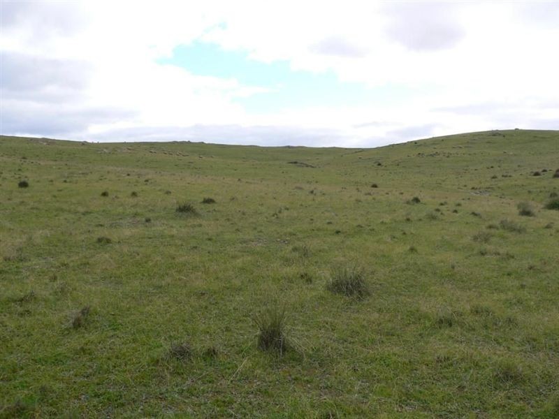 Lot 99 Julia Road, Hampden Via, Eudunda SA 5374