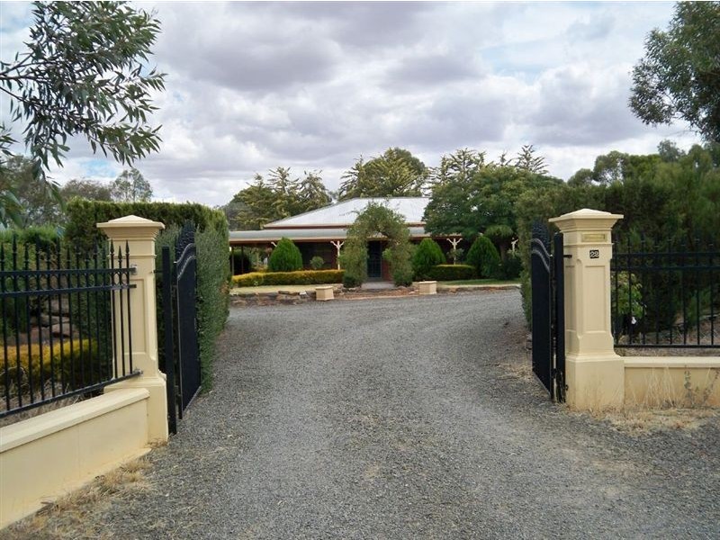 22 North Tce, Kapunda SA 5373