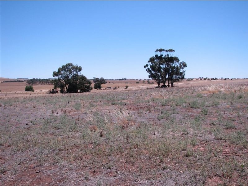 9 Tilbrook Street, Kapunda SA 5373