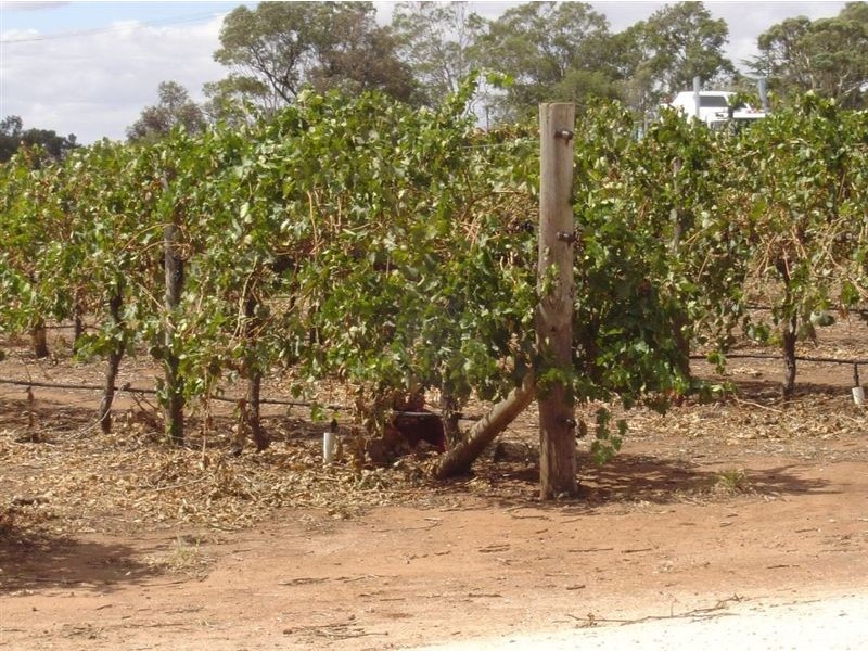 Lot 457 Stockwell Road, Light Pass SA 5355