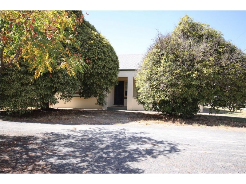 14 Centenary Avenue, Nuriootpa SA 5355