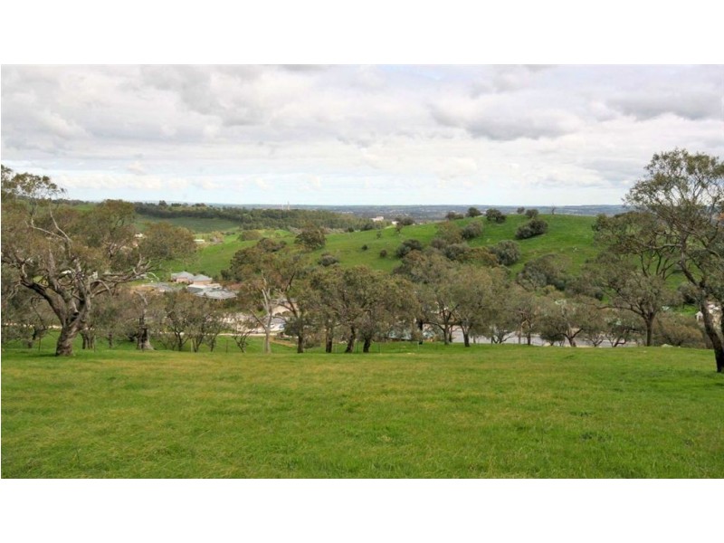 Lot 10 Penrice Road, Angaston SA 5353