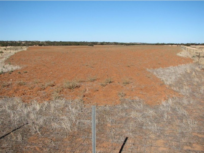 Sec 356 Frankton Road Frankton via, Truro SA 5356