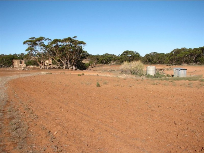 Sec 356 Frankton Road Frankton via, Truro SA 5356