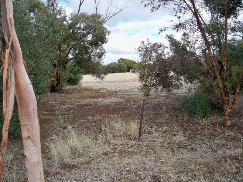 6 Day Street, Kapunda SA 5373