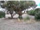 6 Day Street, Kapunda SA 5373