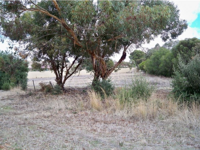 6 Day Street, Kapunda SA 5373
