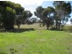 91 Sedan Road, Keyneton SA 5353
