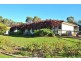 101 Moculta Road, Penrice via, Angaston SA 5353