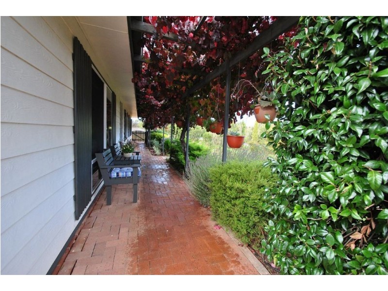 101 Moculta Road, Penrice via, Angaston SA 5353