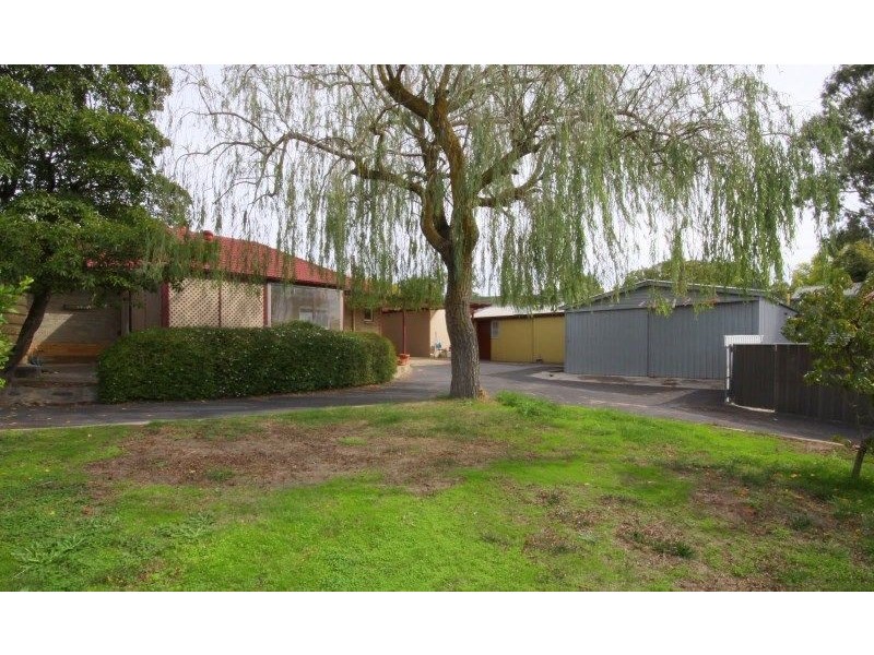 59 Sturt Street, Angaston SA 5353