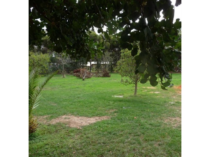Lot 701 Kalimna Road, Nuriootpa SA 5355