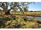 Lot 9 Sugarloaf Hill Road, Angaston SA 5353