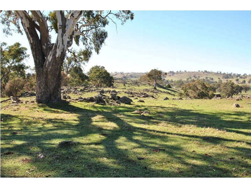 Lot 9 Sugarloaf Hill Road, Angaston SA 5353