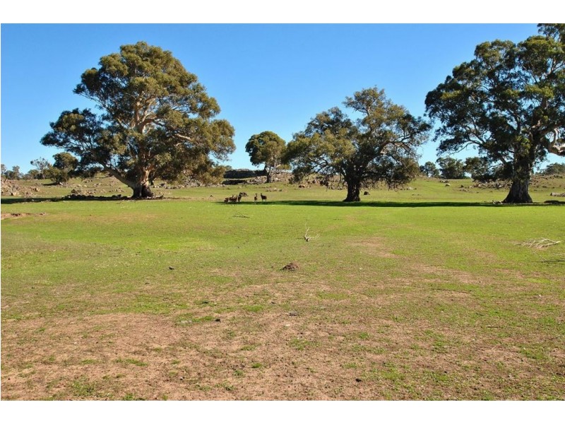 Lot 9 Sugarloaf Hill Road, Angaston SA 5353