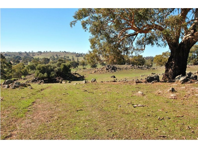 Lot 9 Sugarloaf Hill Road, Angaston SA 5353
