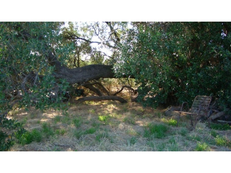 Lot 5 Tarca Court, Cockatoo Valley SA 5351