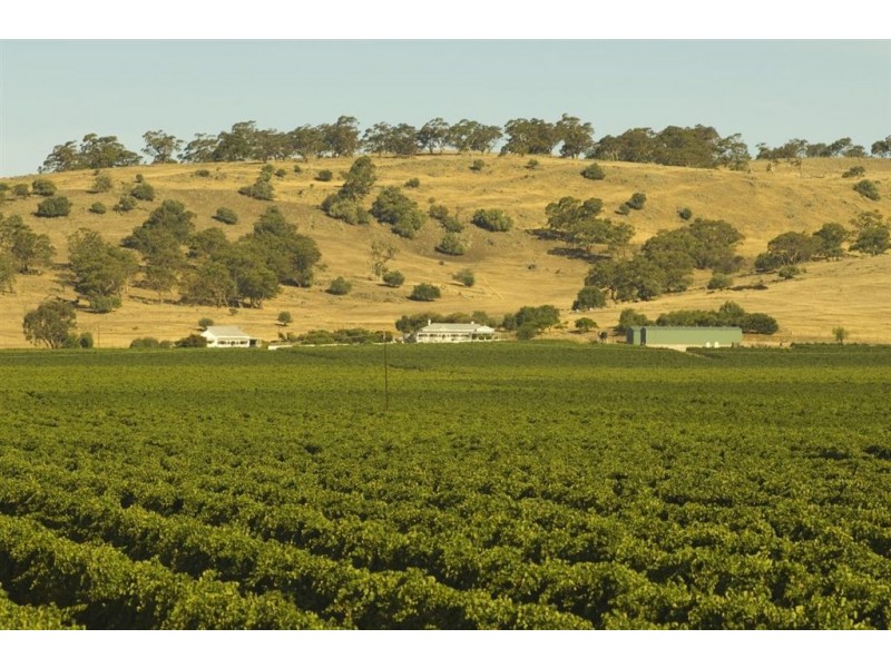 Lot 403 Corner Vine Vale and Stockwell Roads (and others), Vine Vale SA 5352