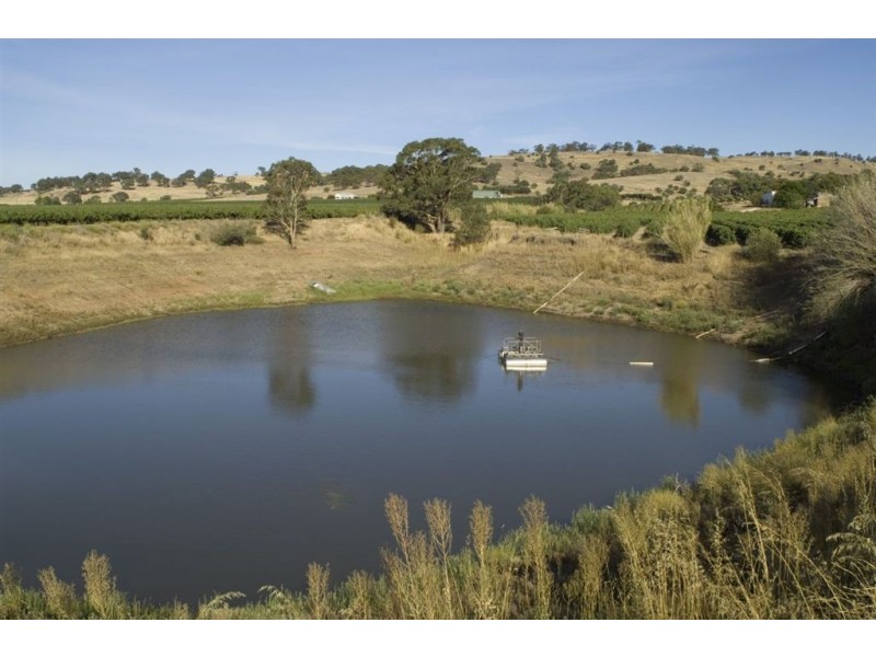 Lot 403 Corner Vine Vale and Stockwell Roads (and others), Vine Vale SA 5352