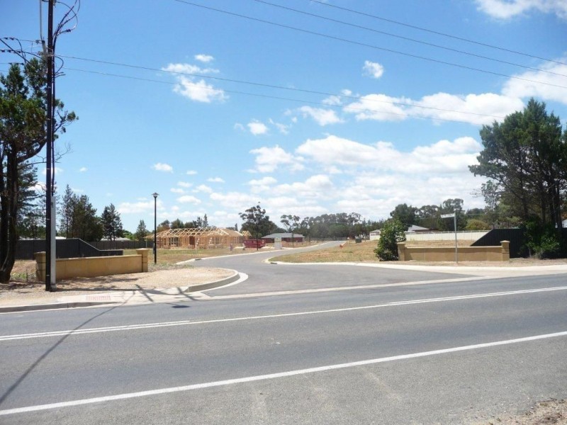 Lot 8 Alf Pellegrini Drive, Tanunda SA 5352