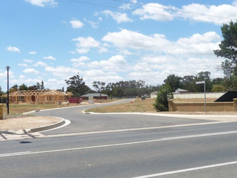 Lot 17 Alf Pellegrini Drive, Tanunda SA 5352