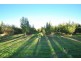 Lot 344 Research Road, Nuriootpa SA 5355