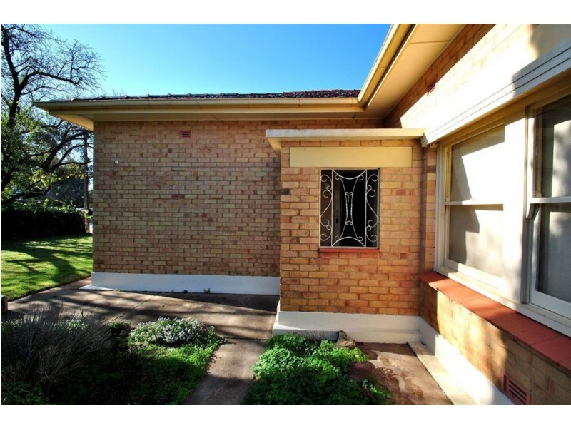 5 Old Kapunda Road, Nuriootpa SA 5355