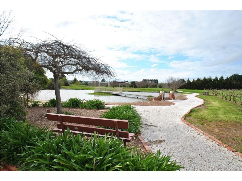 Lot 5 Menge Road, Tanunda SA 5352