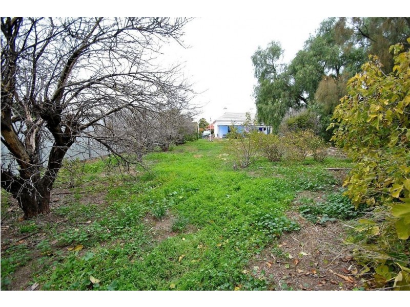 11 Second Street, Nuriootpa SA 5355
