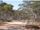 Lot 1 Off Mount Mary Road via Hecke Road, Blanchetown SA 5357