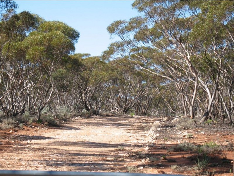 Lot 1 Off Mount Mary Road via Hecke Road, Blanchetown SA 5357