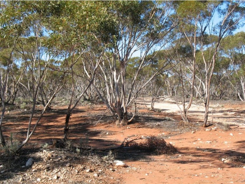 Lot 1 Off Mount Mary Road via Hecke Road, Blanchetown SA 5357