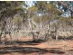 Lot 1 Off Mount Mary Road via Hecke Road, Blanchetown SA 5357