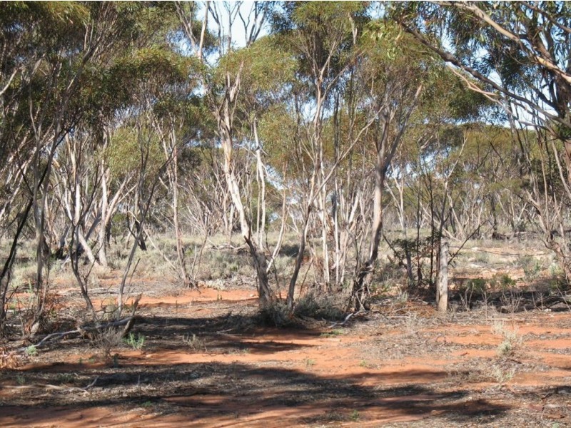 Lot 1 Off Mount Mary Road via Hecke Road, Blanchetown SA 5357