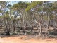 Lot 1 Off Mount Mary Road via Hecke Road, Blanchetown SA 5357